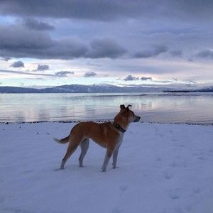 Meet your Posher, Tanya